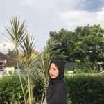 nwdn_file_temp_1606580003952